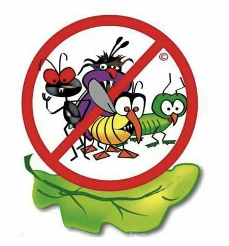 Предложение: Уничтожение вирусов, насекомых и грызун