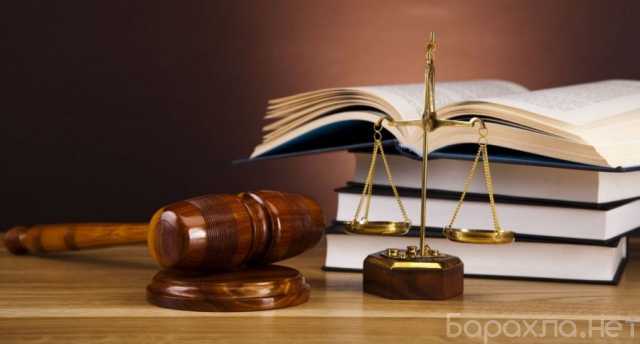Предложение: Консультации юриста по семейному праву