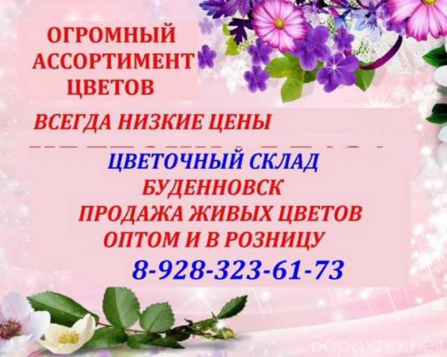 Продам: Цветочный склад, опт-розница, низкие цены Буденновск