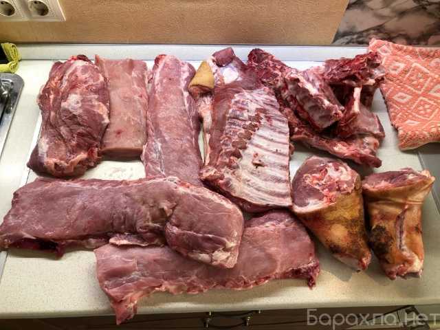 Продам: Свежее мясо свинины (Оптом и в розницу )