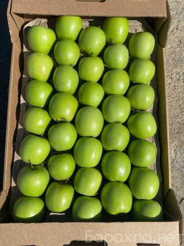 Продам: Яблоки оптом от производителя