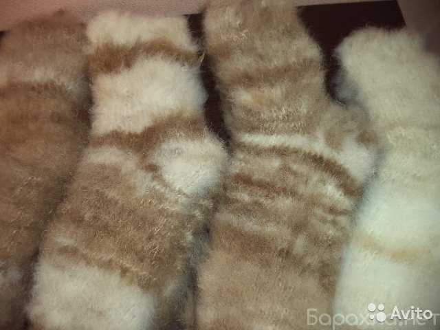 Продам: Носки из собачьей шерсти