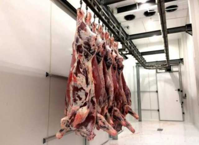 Продам: Поставка оптом мяса говядины, свинины, куриного