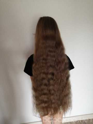 Предложение: Скупка волос