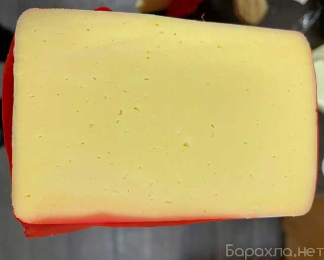 Продам: Сыр в ассортименте