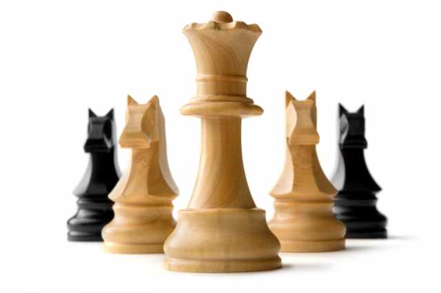 Предложение: Обучение шахматам. Уроки по шахматам