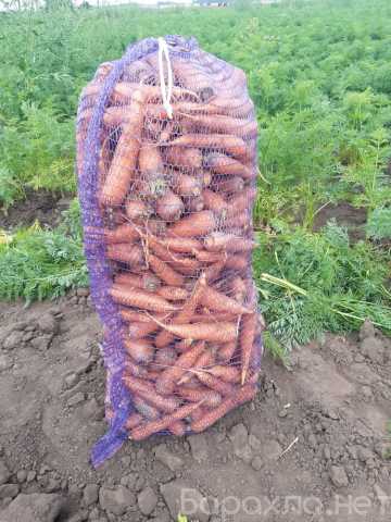 Продам: Морковь от производителя для готовки