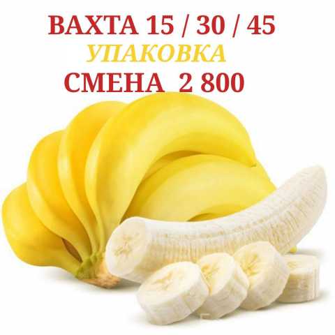 Вакансия: Упаковщицы бананов работа вахтой 15/30