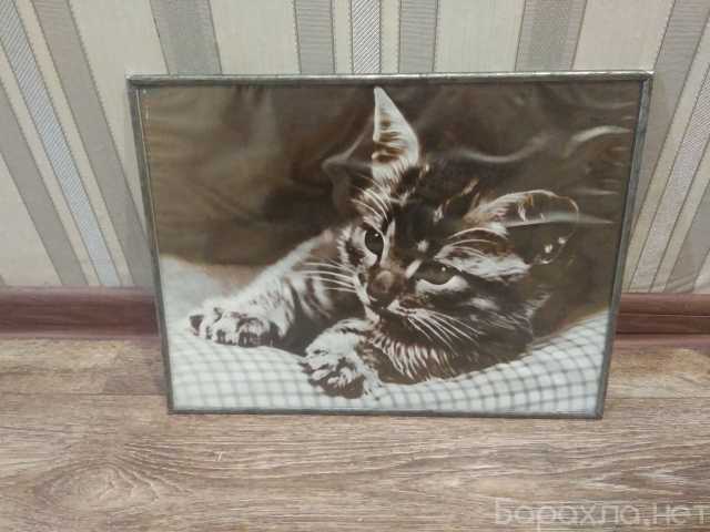 Продам: Картина "Кошка"