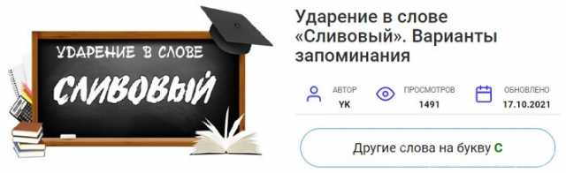Предложение: Как можно быстро выучить русский язык?