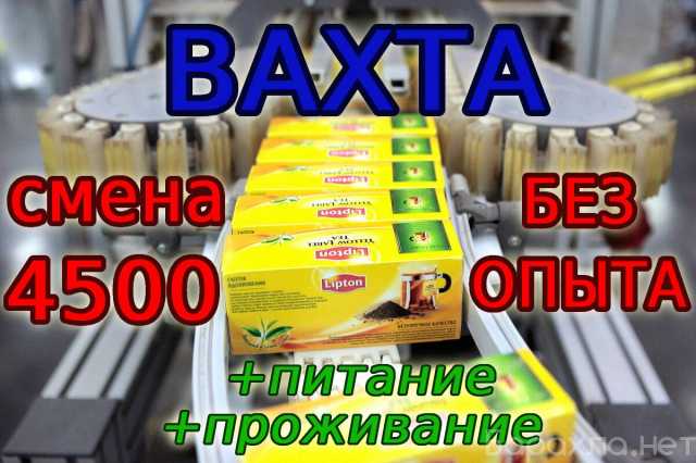 Требуется: Упаковщики чая ВАХТА в Москве с питанием
