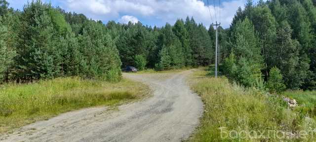Продам: Лесной участок у реки в д. Пьянково