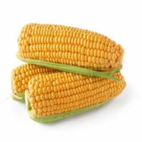 Продам: Кукуруза