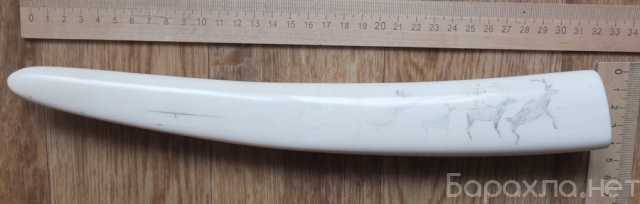 Продам: расписной клык моржа, длина 33 см, грави
