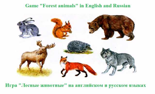 Продам: Игра "Лесные животные" на английском и р