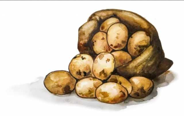 Продам: Картофель 5 тонн любыми об'емами