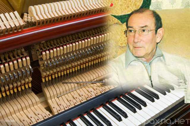 Предложение: Настройка роялей и пианино в Рязани