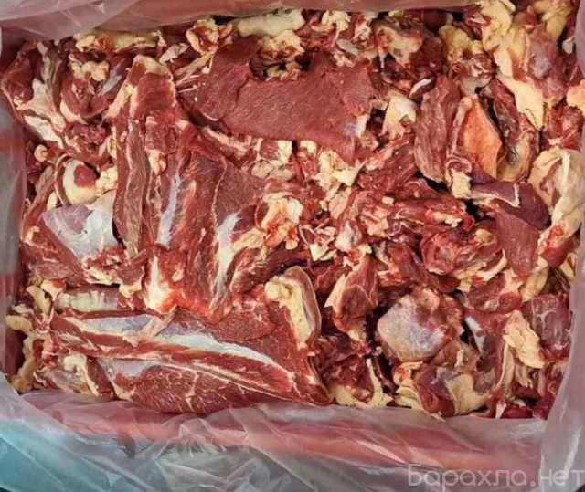 Продам: Говядина, свинина, мясо птицы оптом