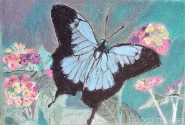 Продам: Рисунок , Бабочка на цветах