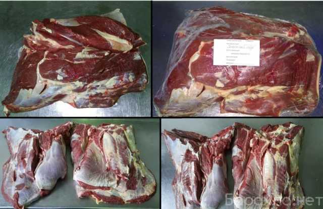 Продам: мясо и мясная продукция