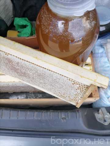 Продам: Мёд свежайший