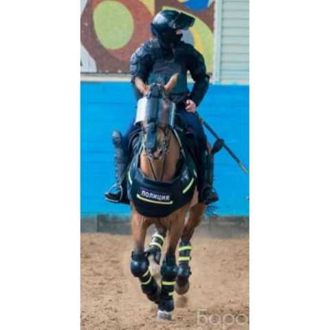 Вакансия: Вакансия: Полицейский в конную полицию
