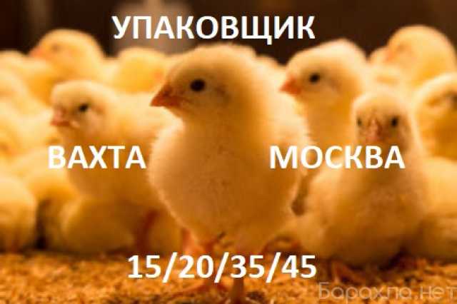 Требуется: Вахта Упаковщик Москва 15/20/35/4