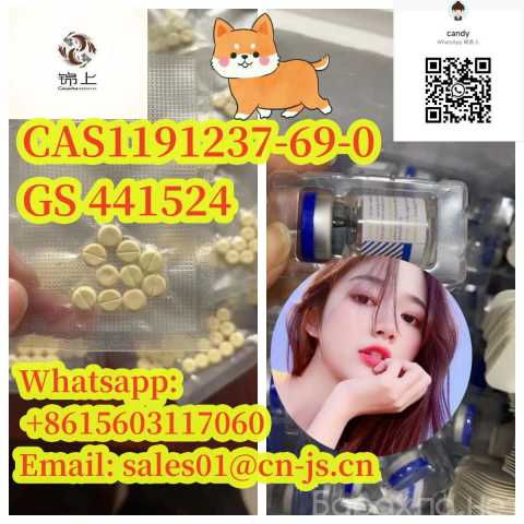 Предложение: cat medicine CAS1191237-69-0 GS 441524