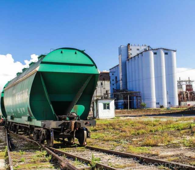 Продам: Мука пшеничная в Краснодаре оптом от 1000 тонн