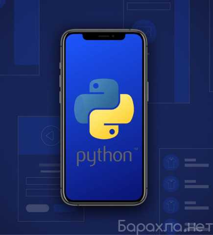 Предложение: Курс по разработке приложений на языке Python