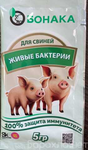 Продам: живые бактерии для свиней