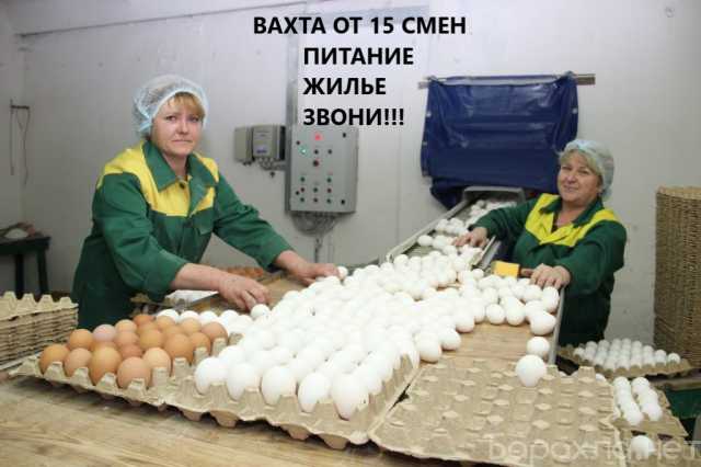 Вакансия: Упаковщик на вахту с питанием в Москве