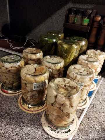 Продам: Маринованные грибы белые и опята