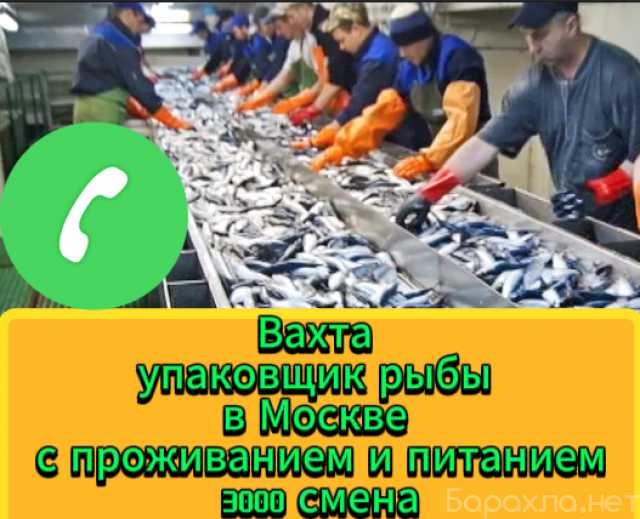 Вакансия: Упаковщик рыбы в Москве с проживанием и