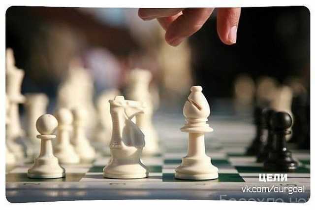 Предложение: Обучение шахматам