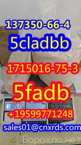 Предложение: hot sale 5cladbb 137350-66-4/5fadb 17150