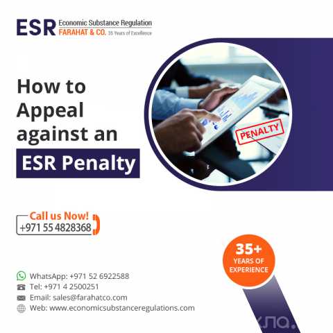 Предложение: How to appeal for ESR penalties in UAE