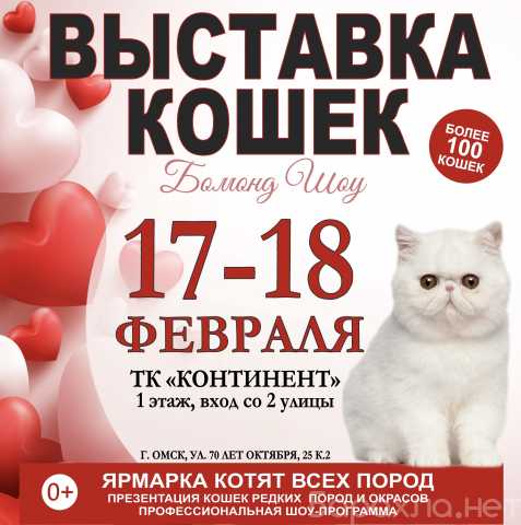 Продам: Выставка кошек 17-18 февраля в Континент