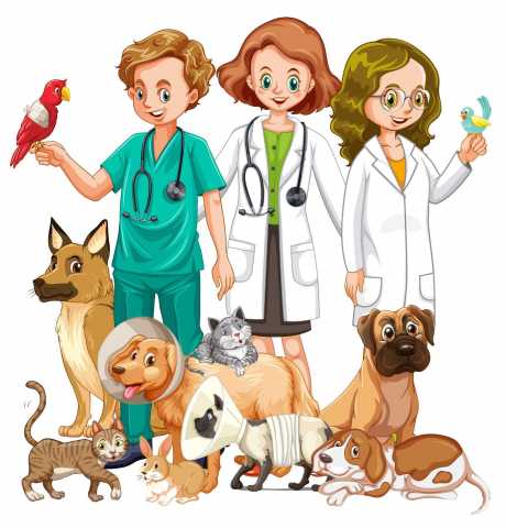 Предложение: Ветеринарный врач на дом
