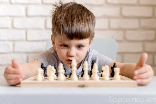 Предложение: Предподаватель по шахматам