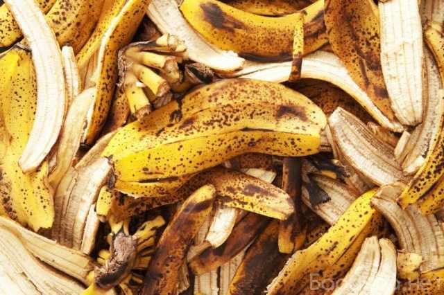 Продам: Гнилую кожуру банана