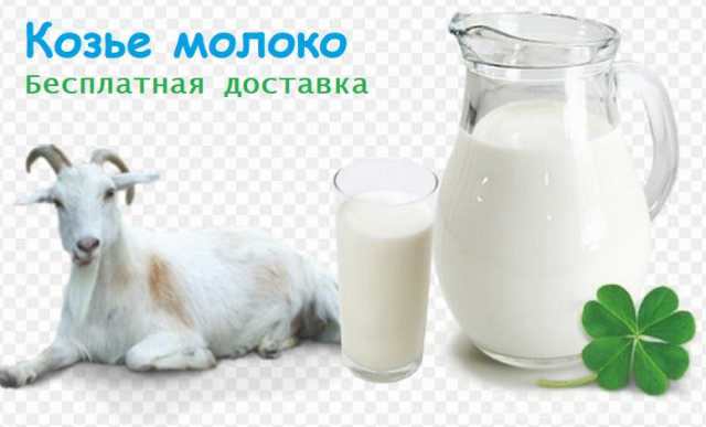 Продам: Козье молоко с доставкой в Севастополе