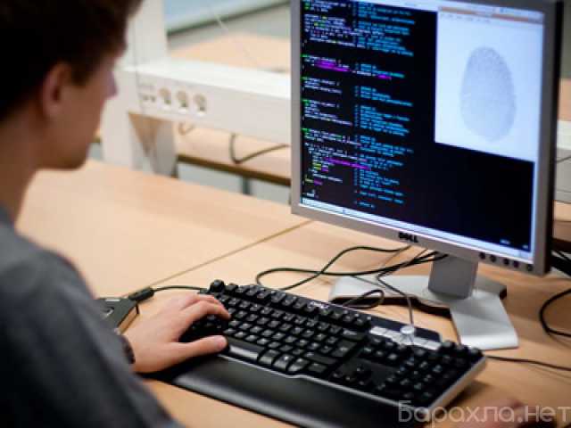 Предложение: Услуги экспертизы программного обеспечения в Екатеринбурге