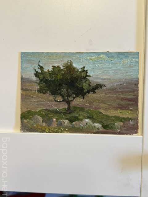Продам: Картина маслом , пейзаж « Одинокое дерев
