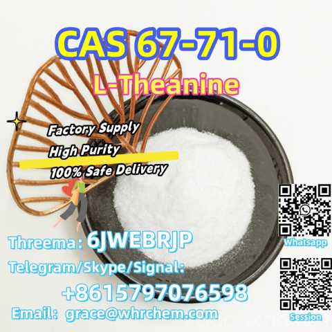 Продам: CAS 67-71-0 L-Theanine