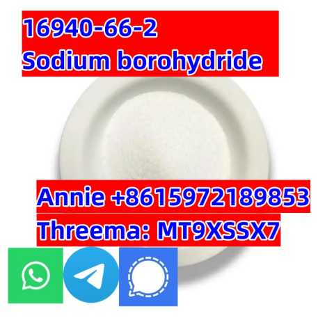 Предложение: CAS 16940-66-2 Sodium borohydride SBH go