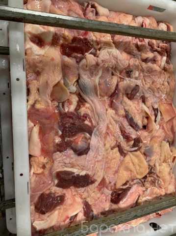 Продам: Жилку говяжью