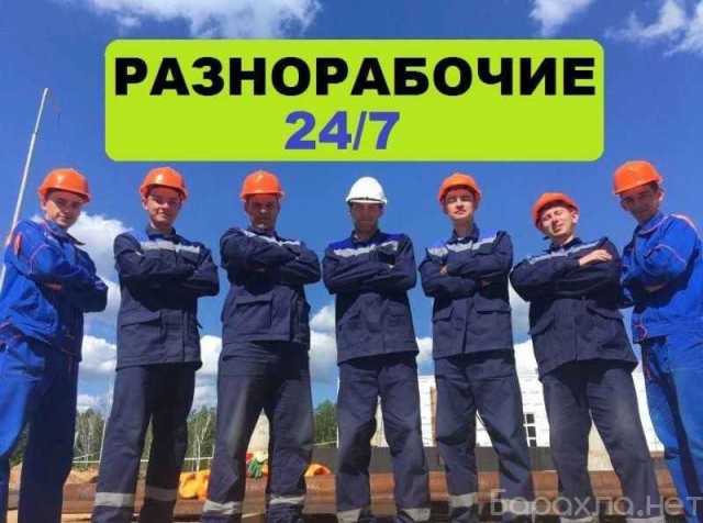 Предложение: Разнорабочие