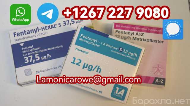 Предложение: Buy Fentany & Heroin Powder In London UK