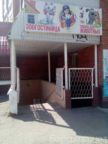 Предложение: зоогостиница МУРЛЫКА